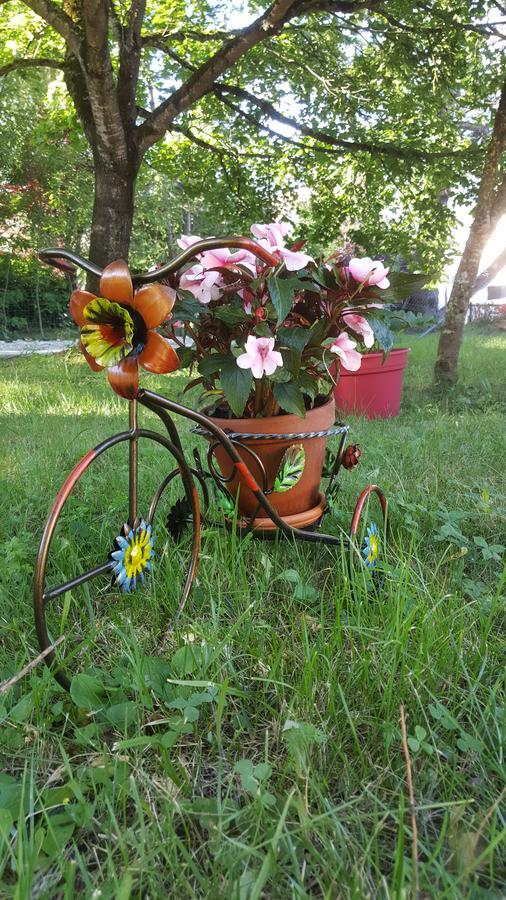 Bed and Breakfast Le Saule Reveur Ди Экстерьер фото